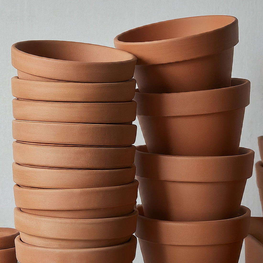 Terracotta Pots Can Save Your Plant