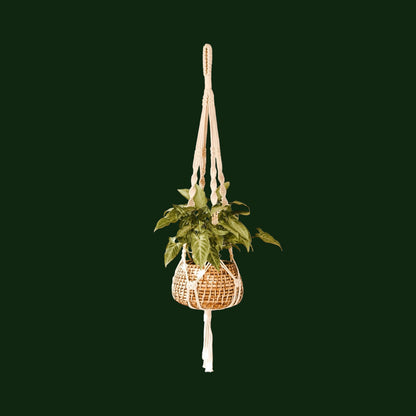 Macrame Plant Hanger - Set of 3 - Hanging Planters - Soiled