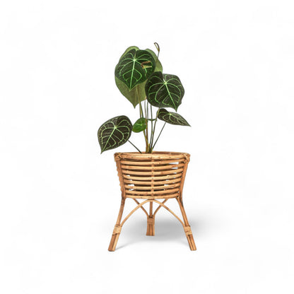 Leggy Cane Planter - Planter - Soiled