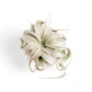 Tillandsia Xerographica - Air Plant - Soiled