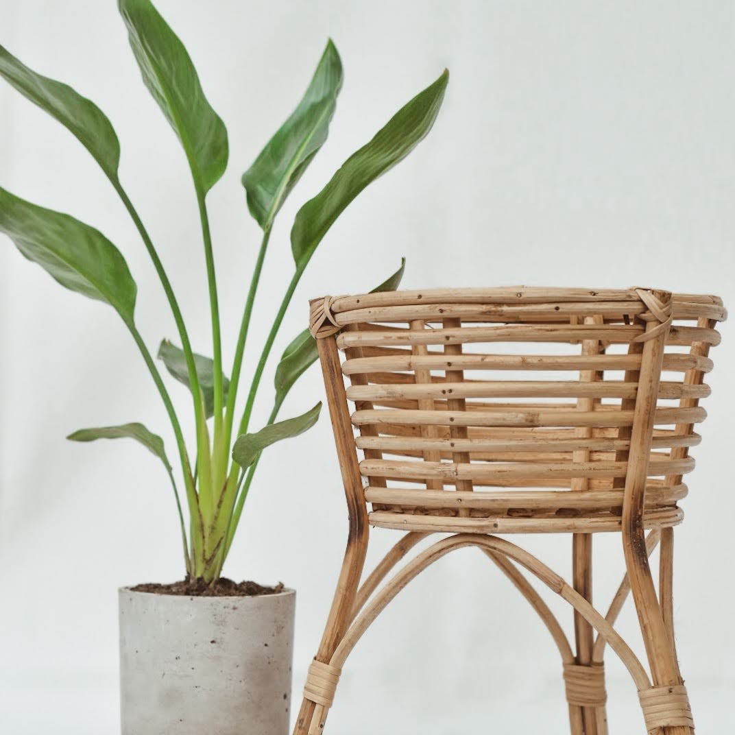 Leggy Cane Planter - Planter - Soiled