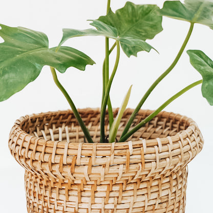 Bucket Cane Planter - Planter - Soiled